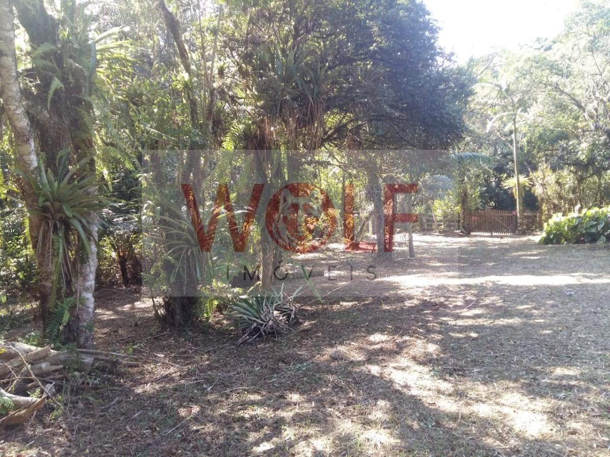 Terreno, 1 hectares - Foto 3