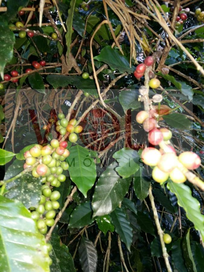 Terreno, 1 hectares - Foto 14