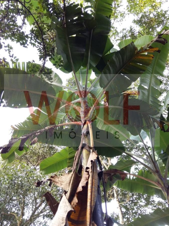 Terreno, 1 hectares - Foto 16