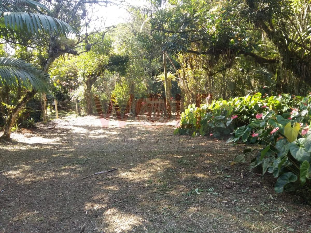 Terreno, 1 hectares - Foto 7