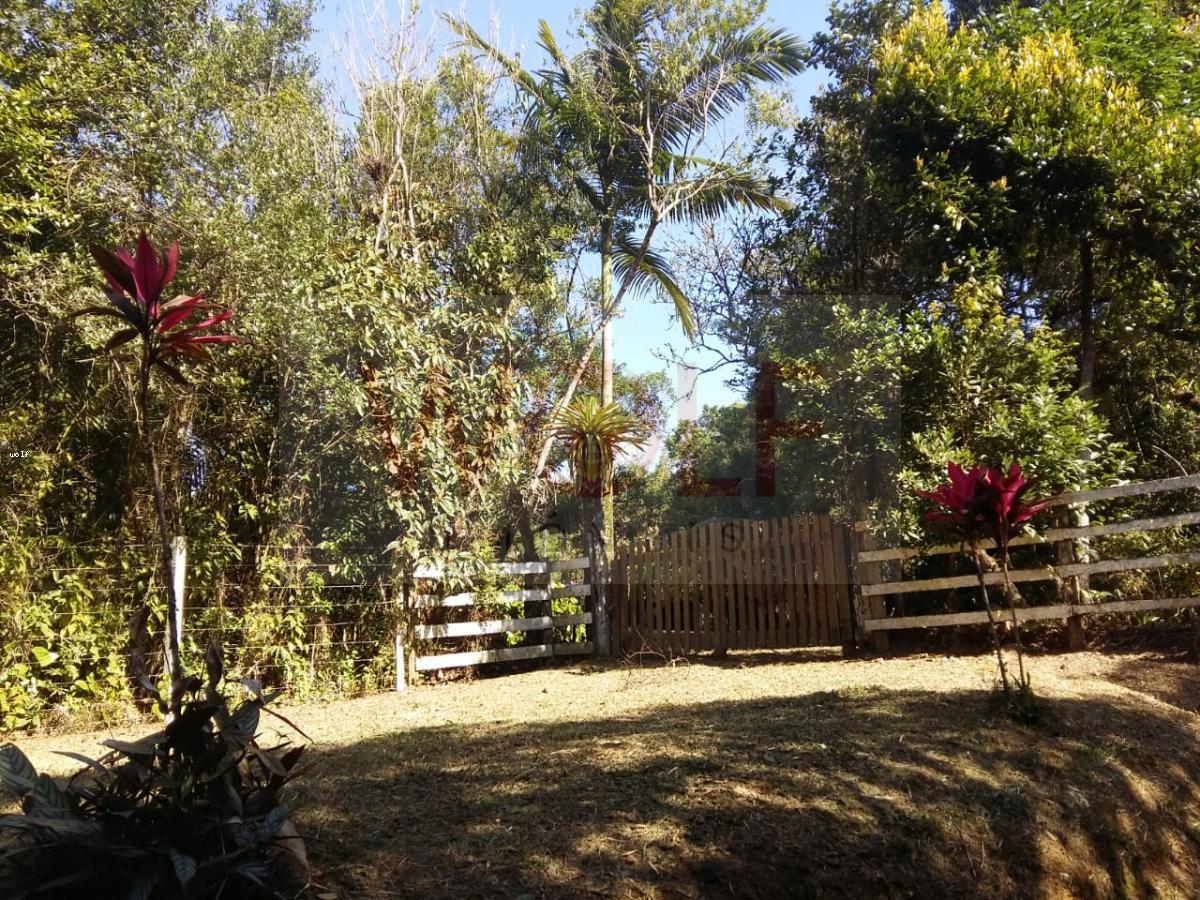 Terreno, 1 hectares - Foto 3