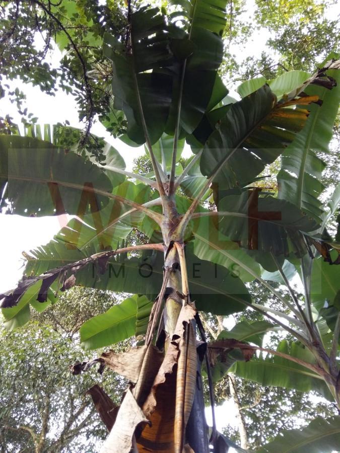 Terreno, 1 hectares - Foto 17