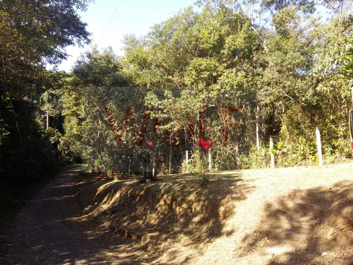 Terreno, 1 hectares - Foto 6