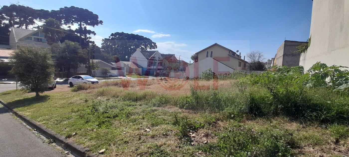 Terreno, 538 m² - Foto 6