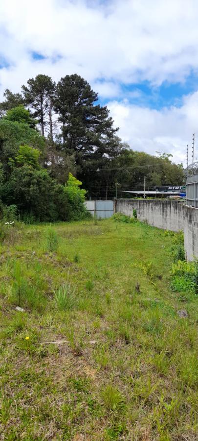 Terreno, 4596 m² - Foto 11