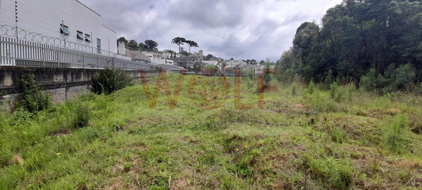 Terreno, 4596 m² - Foto 15