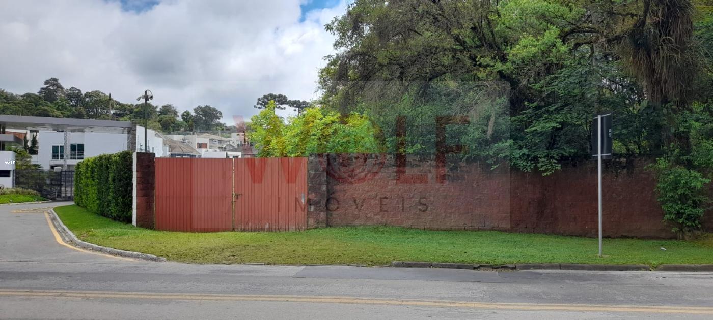 Terreno, 4596 m² - Foto 4