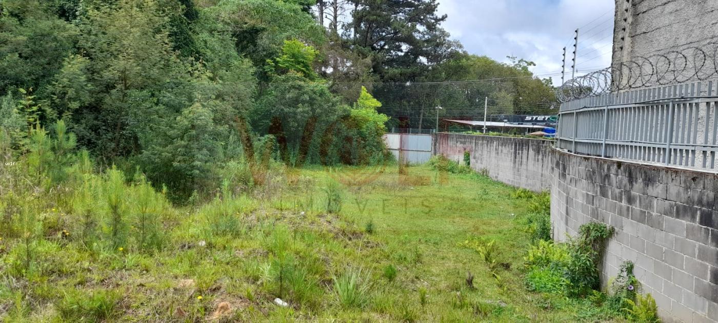 Terreno, 4596 m² - Foto 12