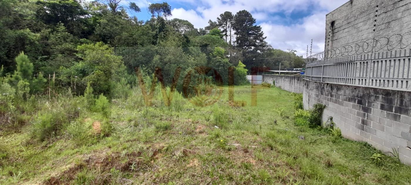 Terreno, 4596 m² - Foto 16