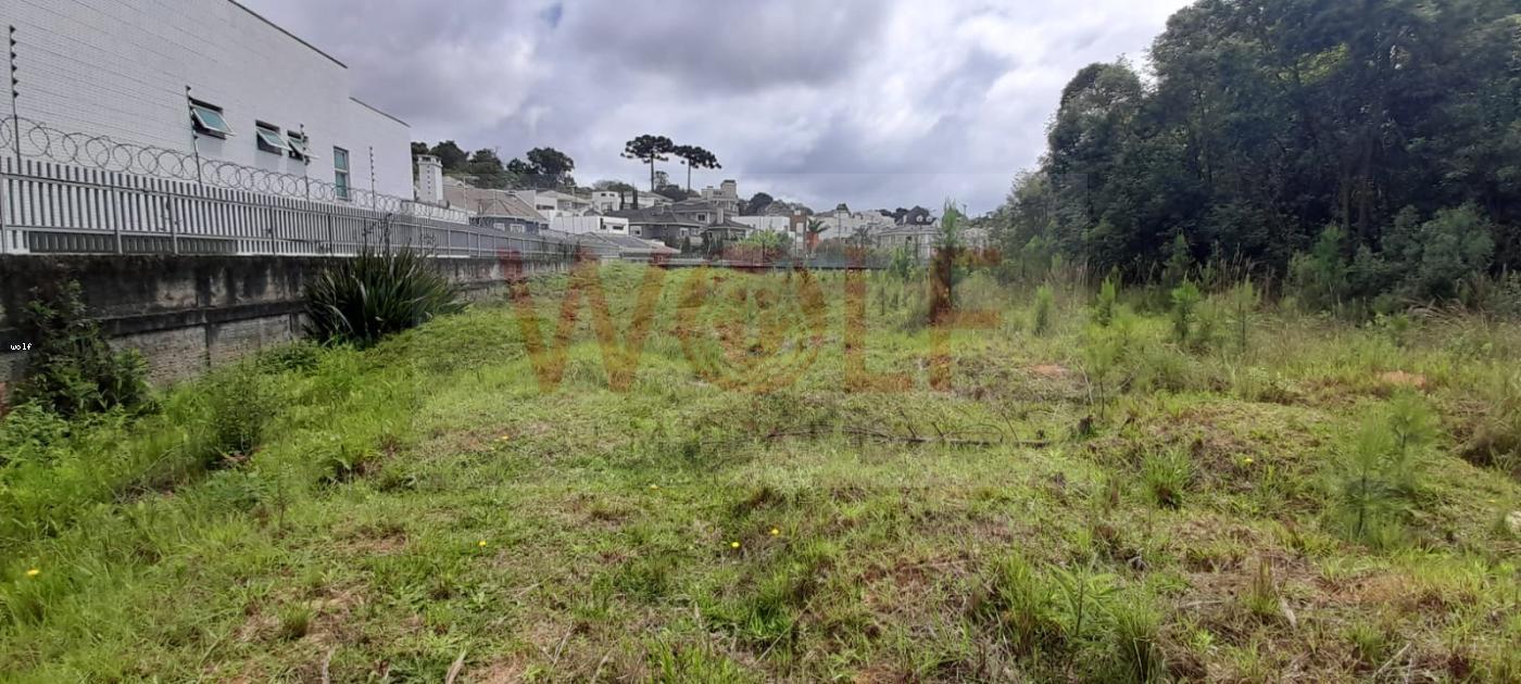 Terreno, 4596 m² - Foto 3