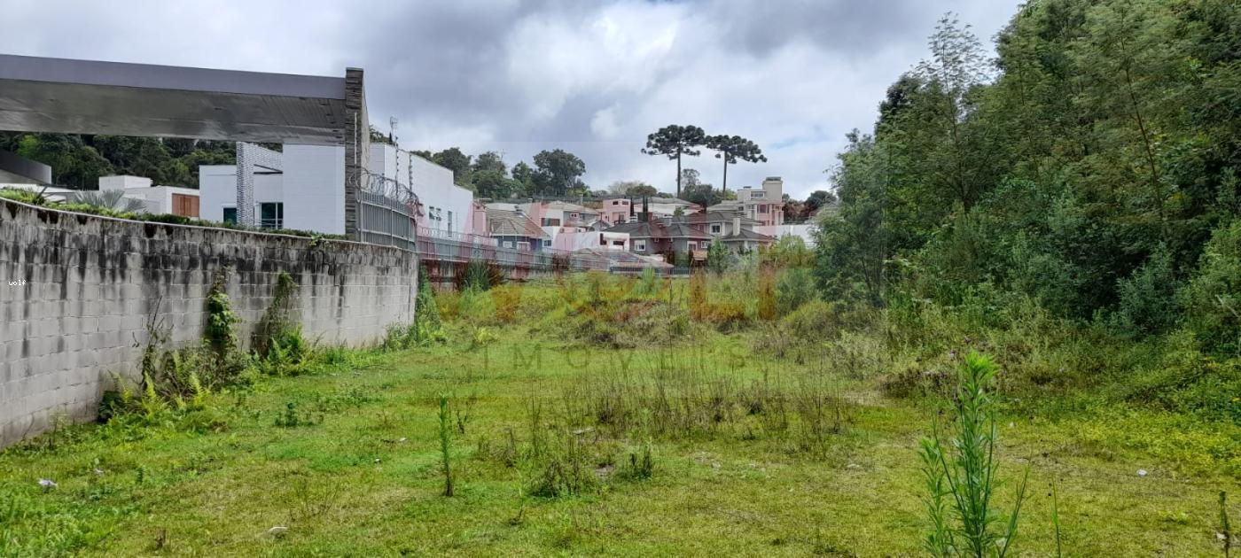 Terreno, 4596 m² - Foto 18