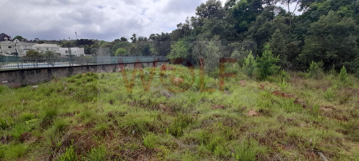 Terreno, 4596 m² - Foto 14