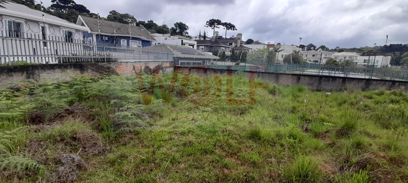 Terreno, 4596 m² - Foto 6