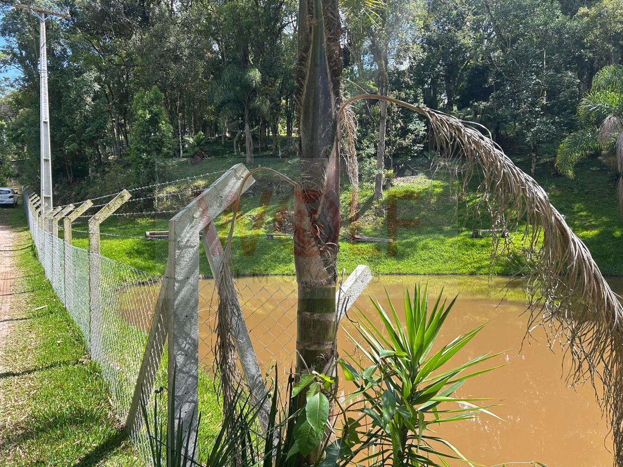 Chácara, 3 quartos, 6295 m² - Foto 15