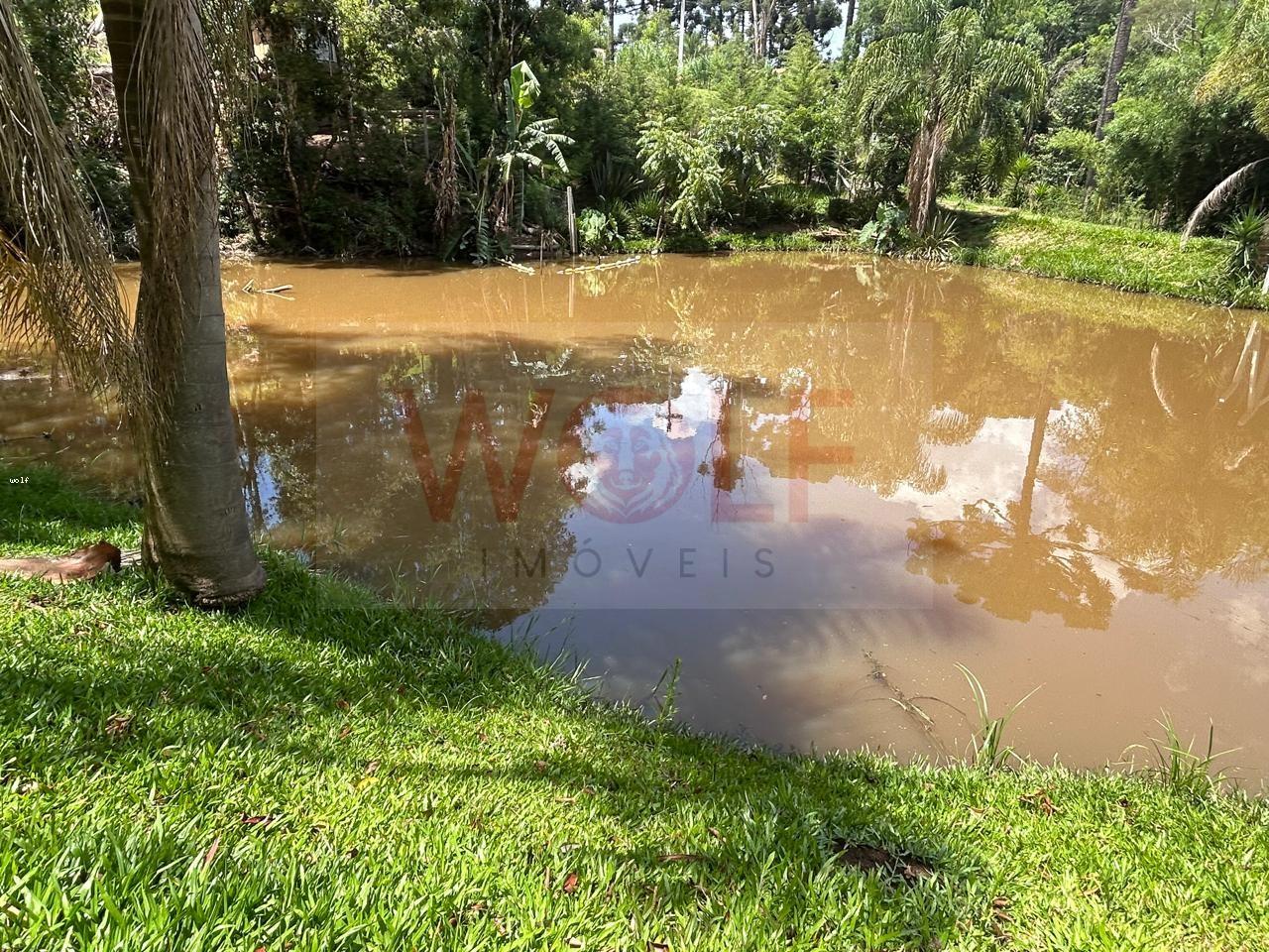 Chácara, 3 quartos, 6295 m² - Foto 12