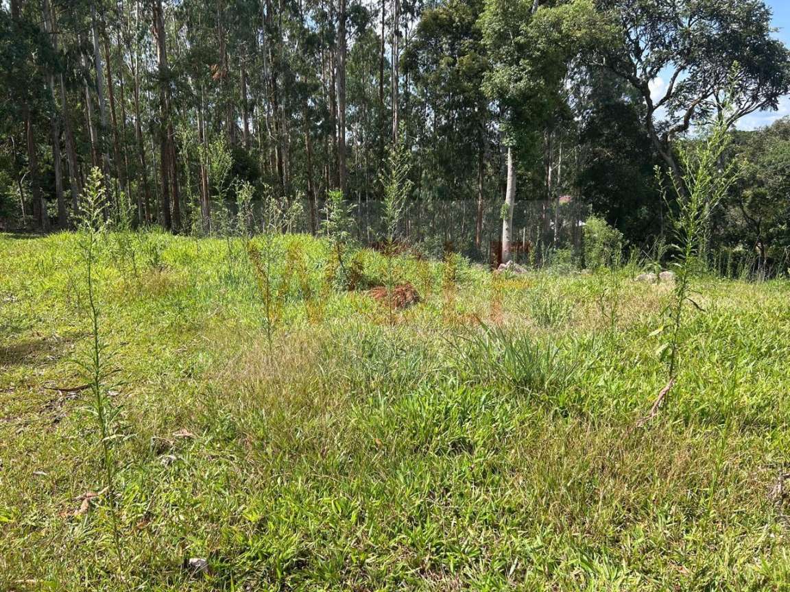 Chácara, 3 quartos, 6295 m² - Foto 23