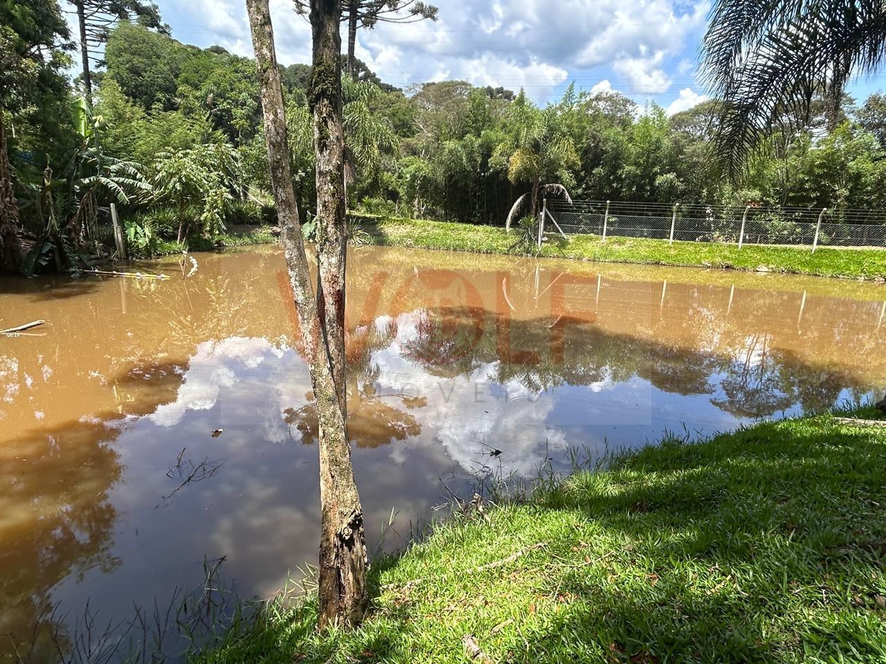 Chácara, 3 quartos, 6295 m² - Foto 16