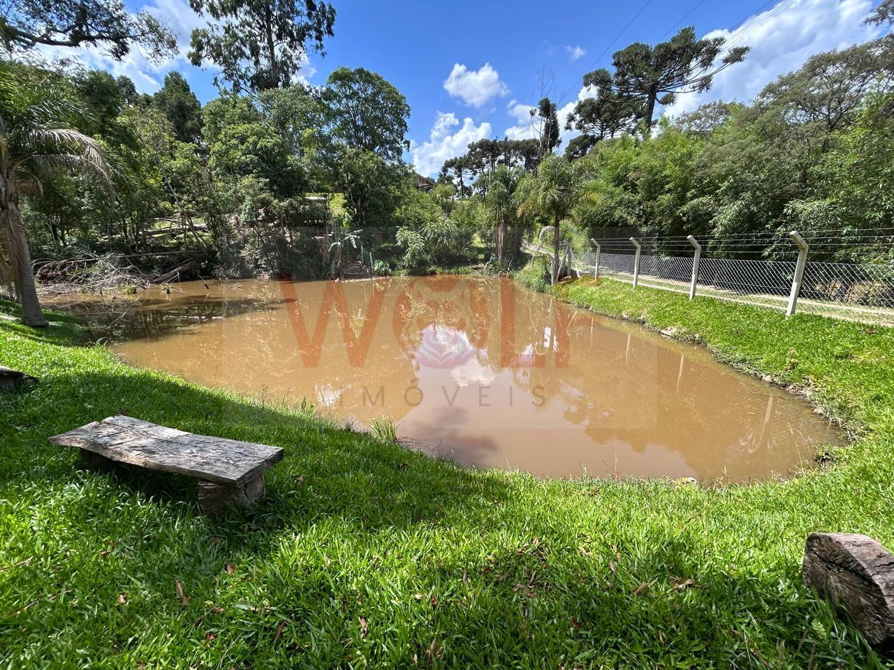 Chácara, 3 quartos, 6295 m² - Foto 26