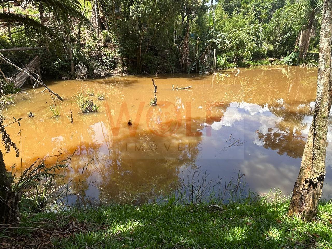 Chácara, 3 quartos, 6295 m² - Foto 30