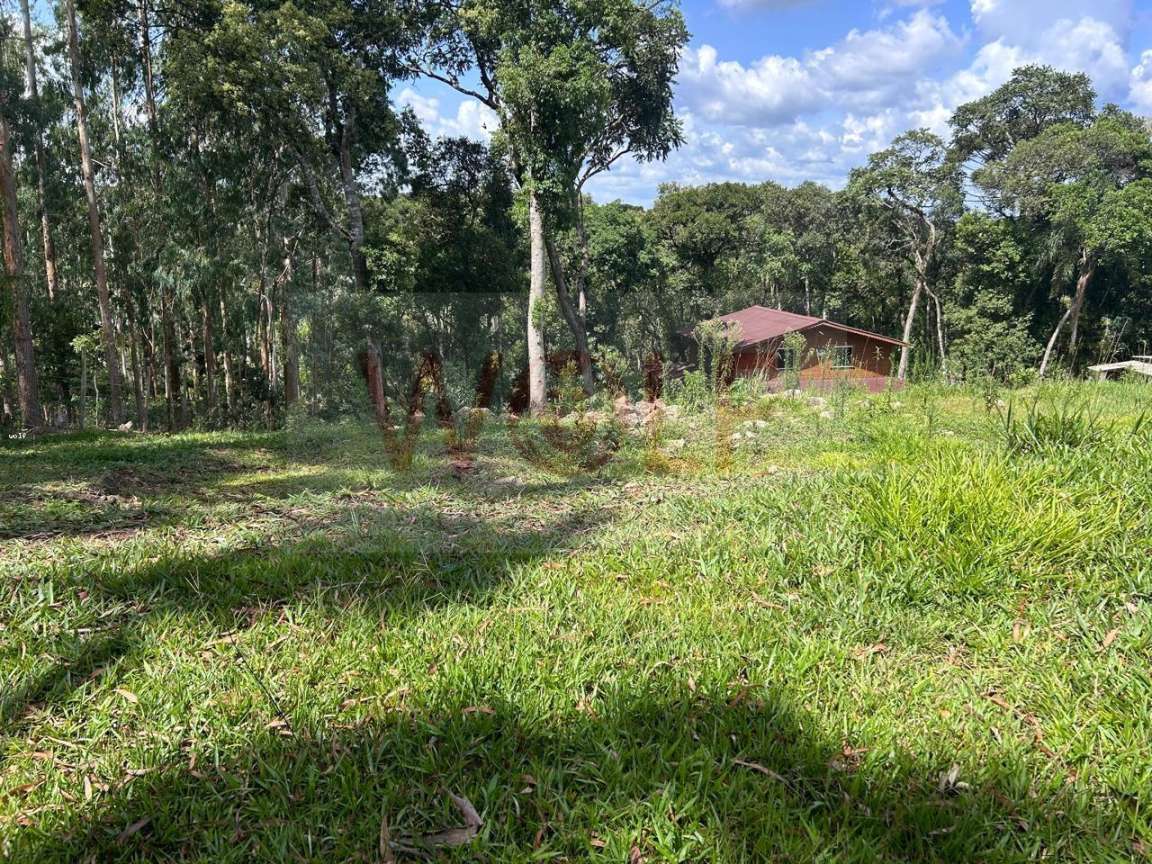 Chácara, 3 quartos, 6295 m² - Foto 31