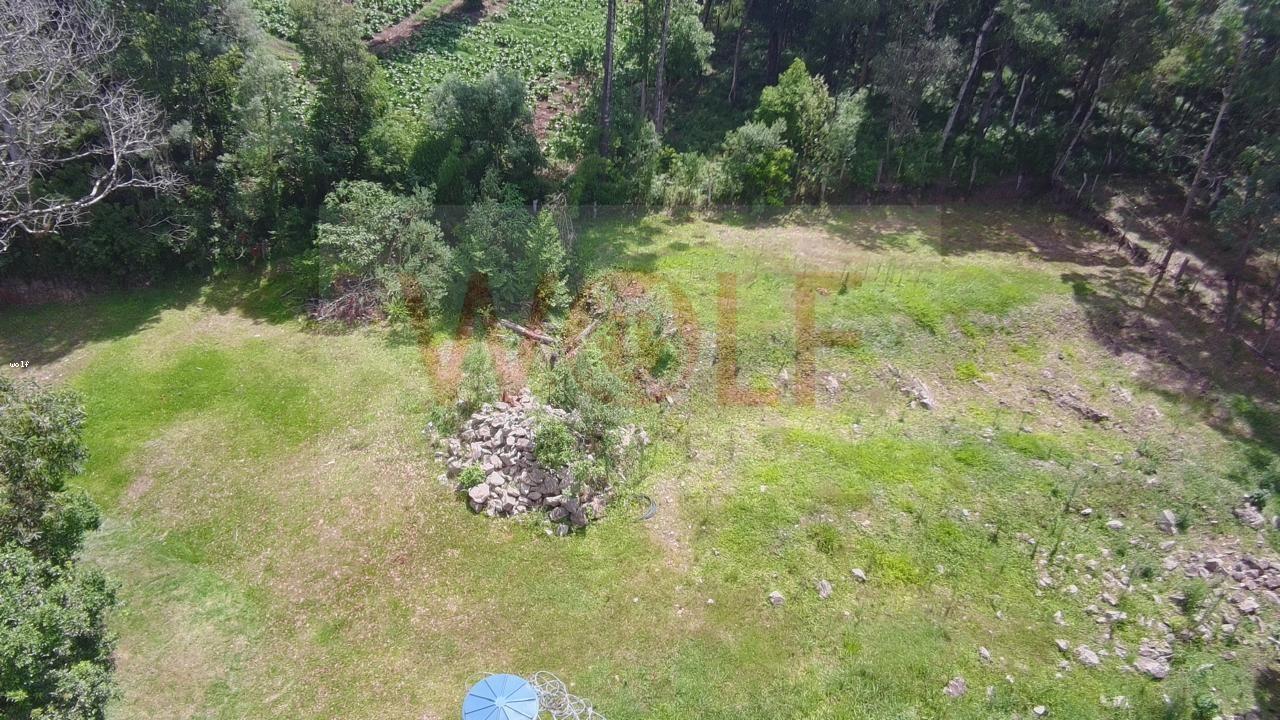 Chácara, 3 quartos, 6295 m² - Foto 29