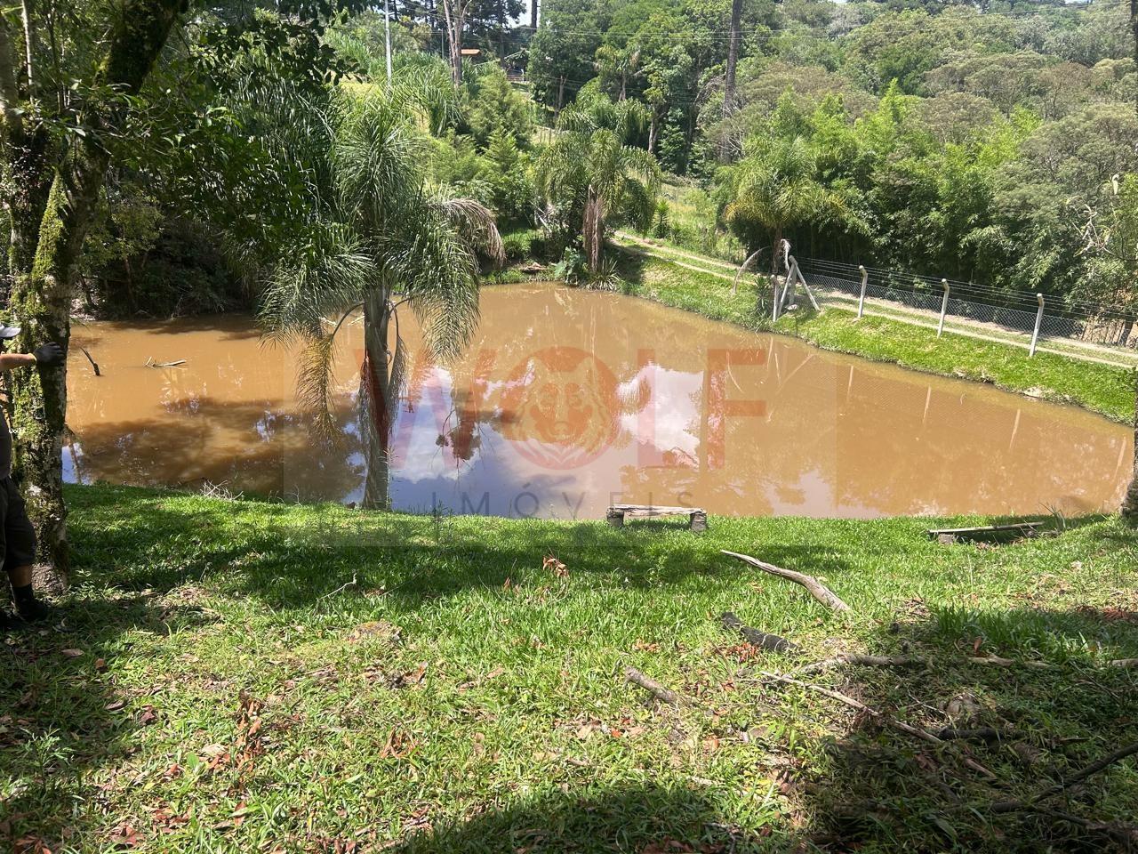 Chácara, 3 quartos, 6295 m² - Foto 25