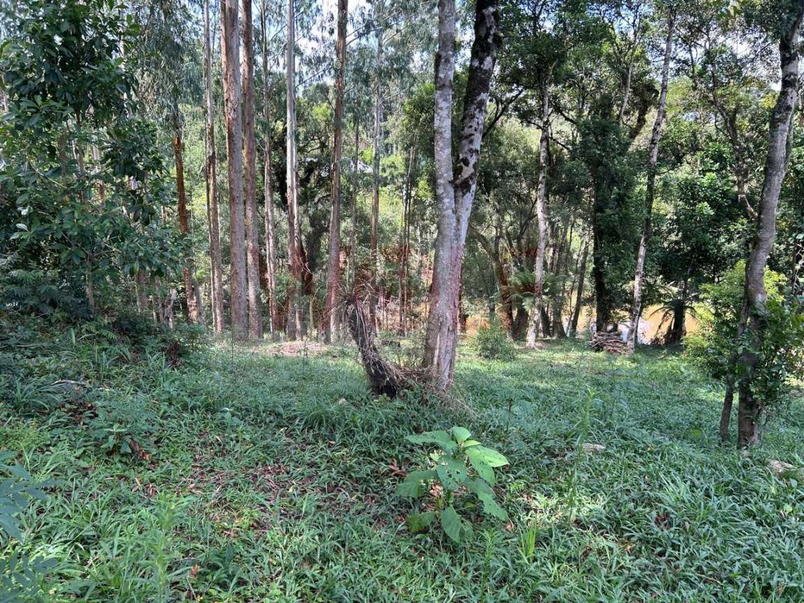 Chácara, 3 quartos, 6295 m² - Foto 35