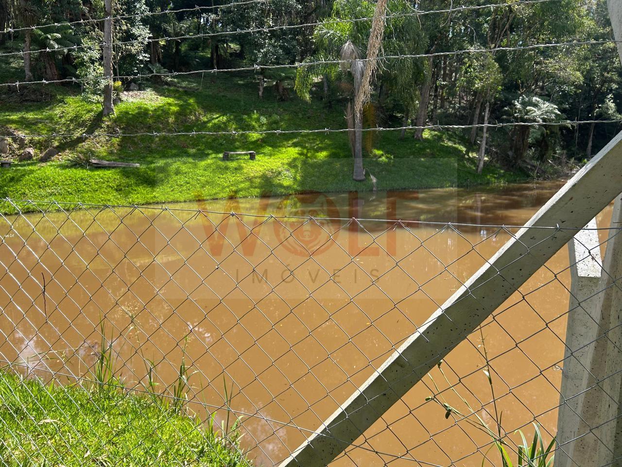 Chácara, 3 quartos, 6295 m² - Foto 37