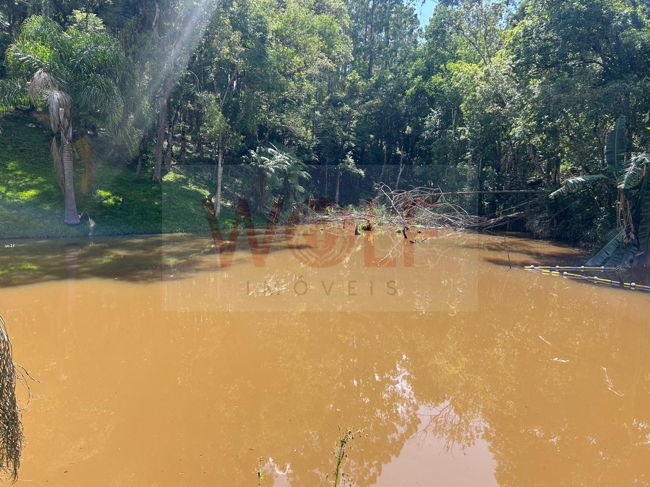 Chácara, 3 quartos, 6295 m² - Foto 39