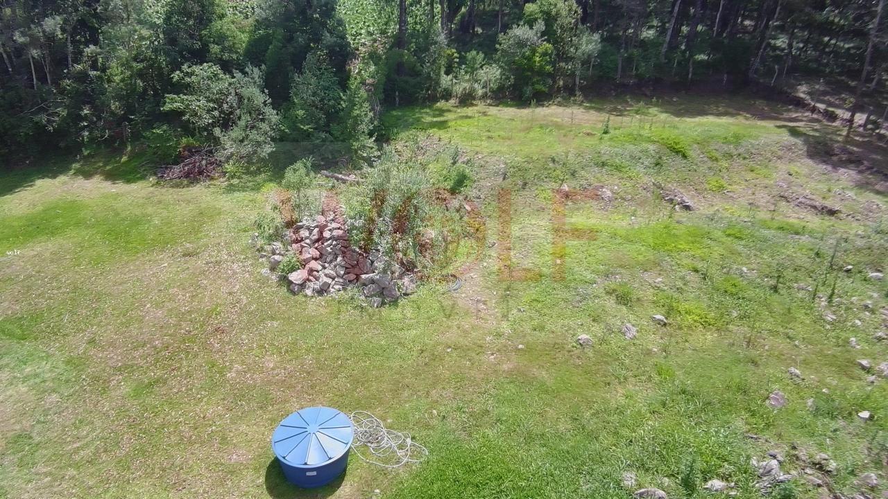 Chácara, 3 quartos, 6295 m² - Foto 40