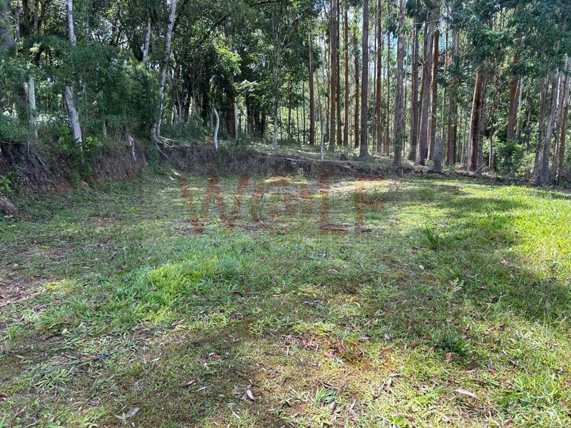 Chácara, 3 quartos, 6295 m² - Foto 41