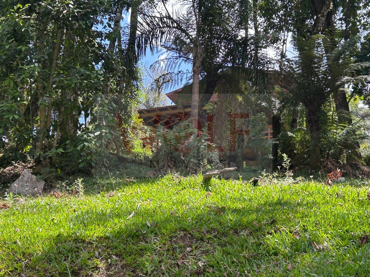 Chácara, 3 quartos, 6295 m² - Foto 43