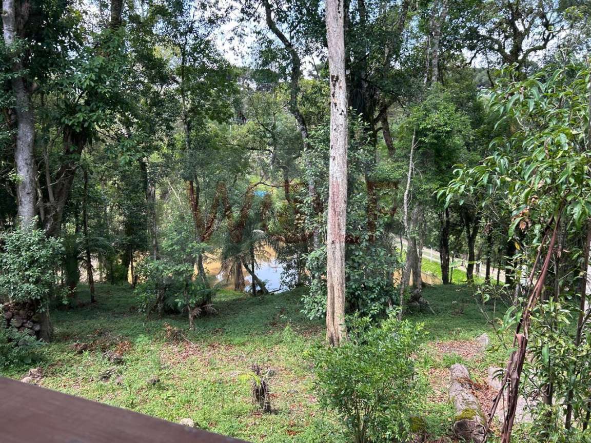 Chácara, 3 quartos, 6295 m² - Foto 44