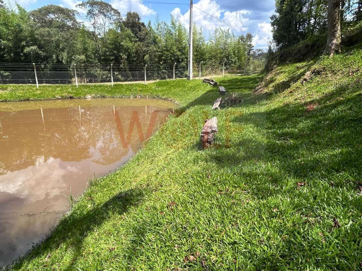 Chácara, 3 quartos, 6295 m² - Foto 45