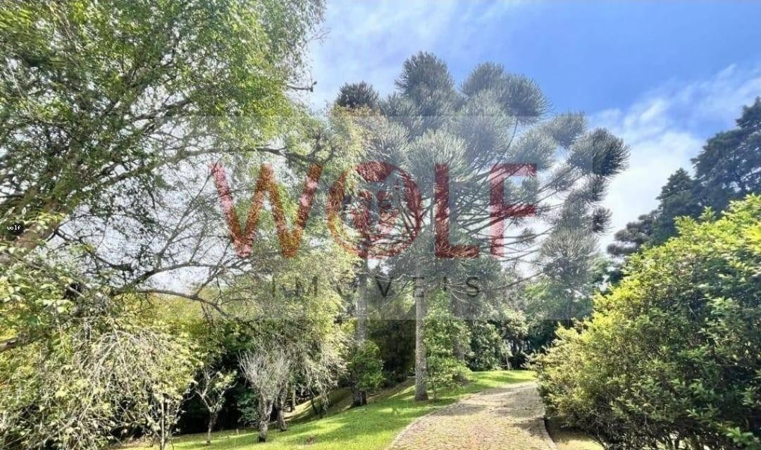 Casa, 5 quartos - Foto 8